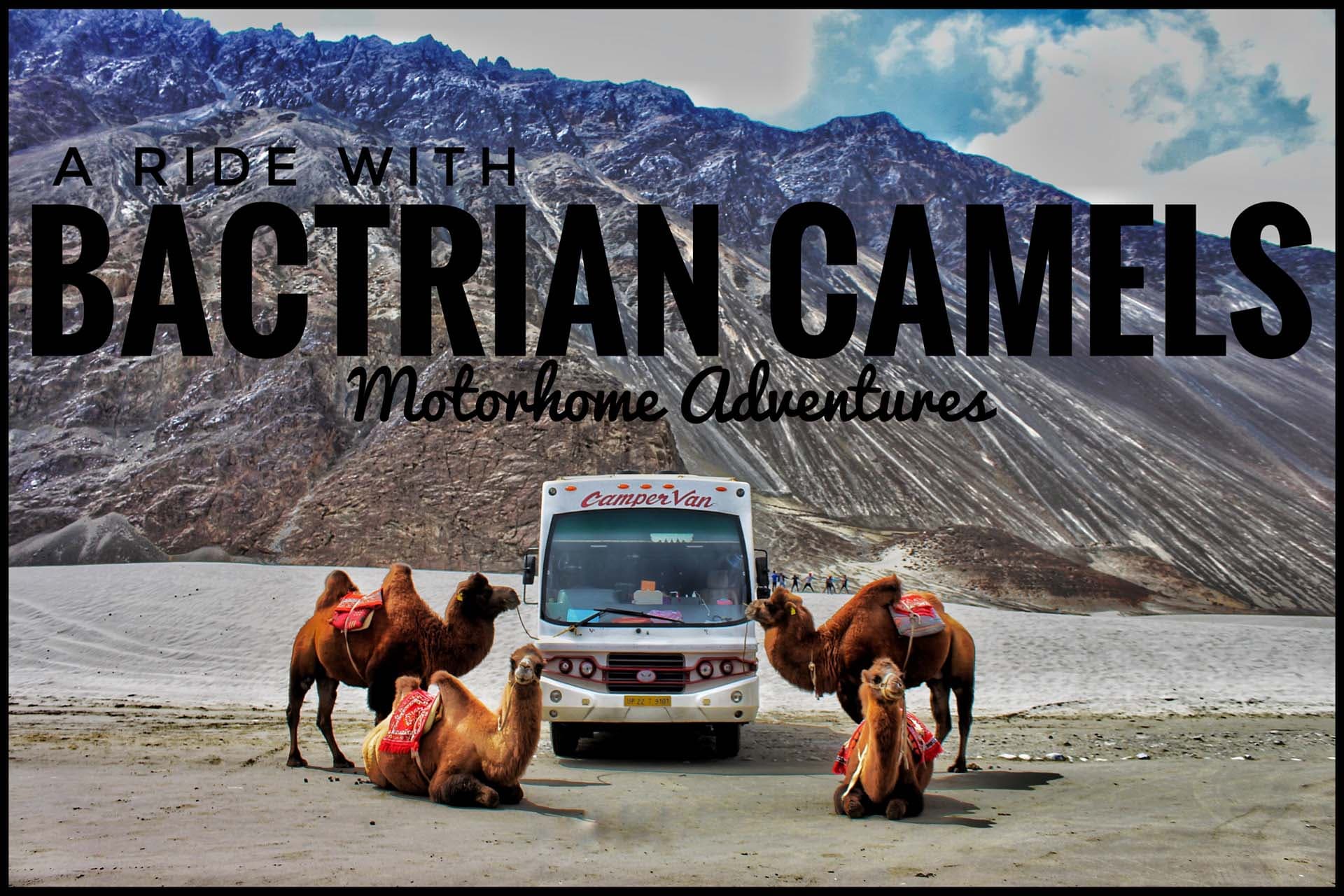 The Adventures Of Ladakh | A Caravan Tour To India's Most Adventurous Route